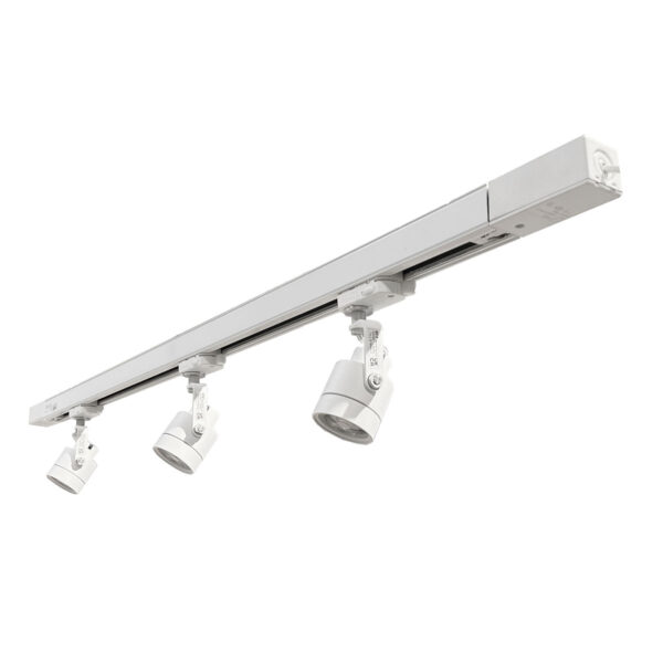 Basis Lighting Rental - RTP10