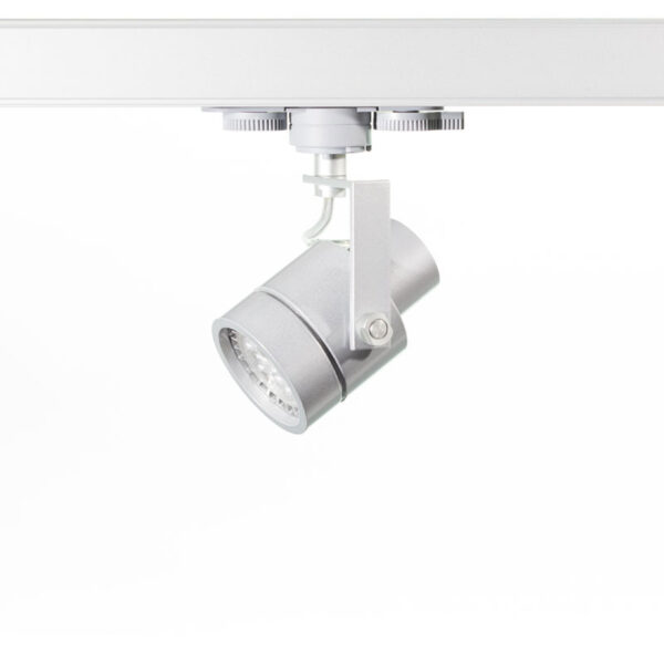 Basis Lighting Rental - RTP11