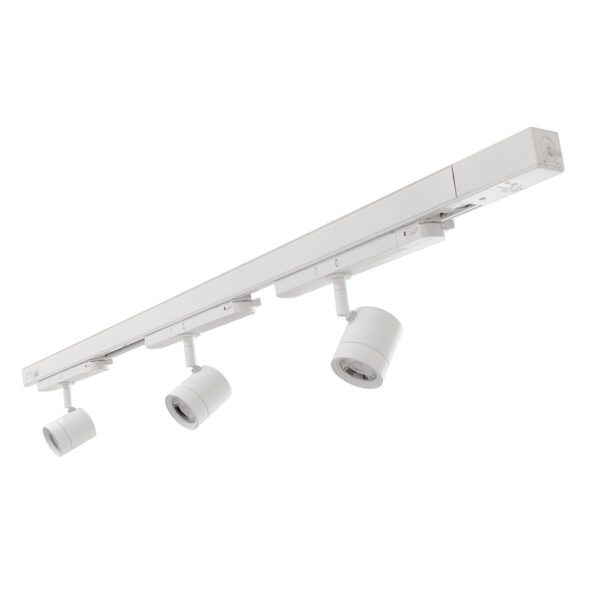 Basis Lighting Rental - RTP20
