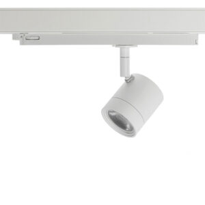 Basis Lighting Rental - RTP21