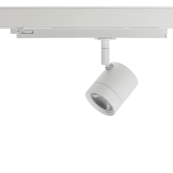 Basis Lighting Rental - RTP21