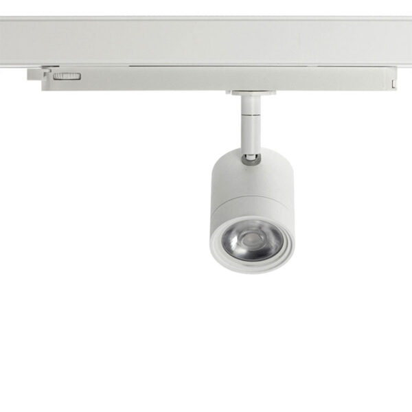 Basis Lighting Rental - RTP21c