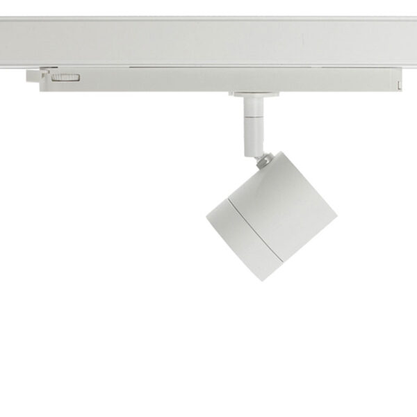 Basis Lighting Rental - RTP21d