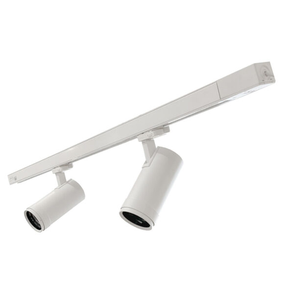 Basis Lighting Rental - RTP30