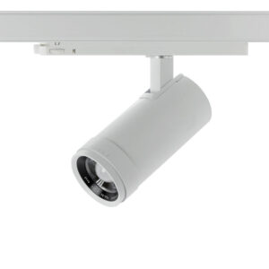 Basis Lighting Rental - RTP31