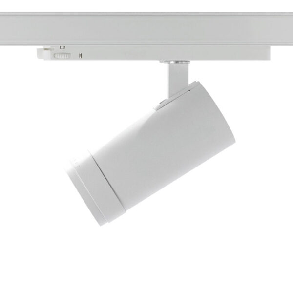 Basis Lighting Rental - RTP31c