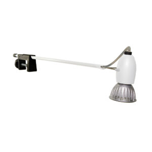 Basis Lighting Rental - RTP40