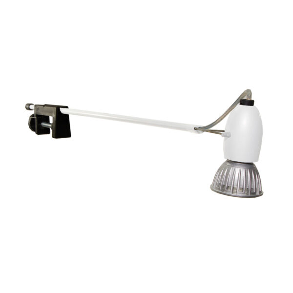 Basis Lighting Rental - RTP40